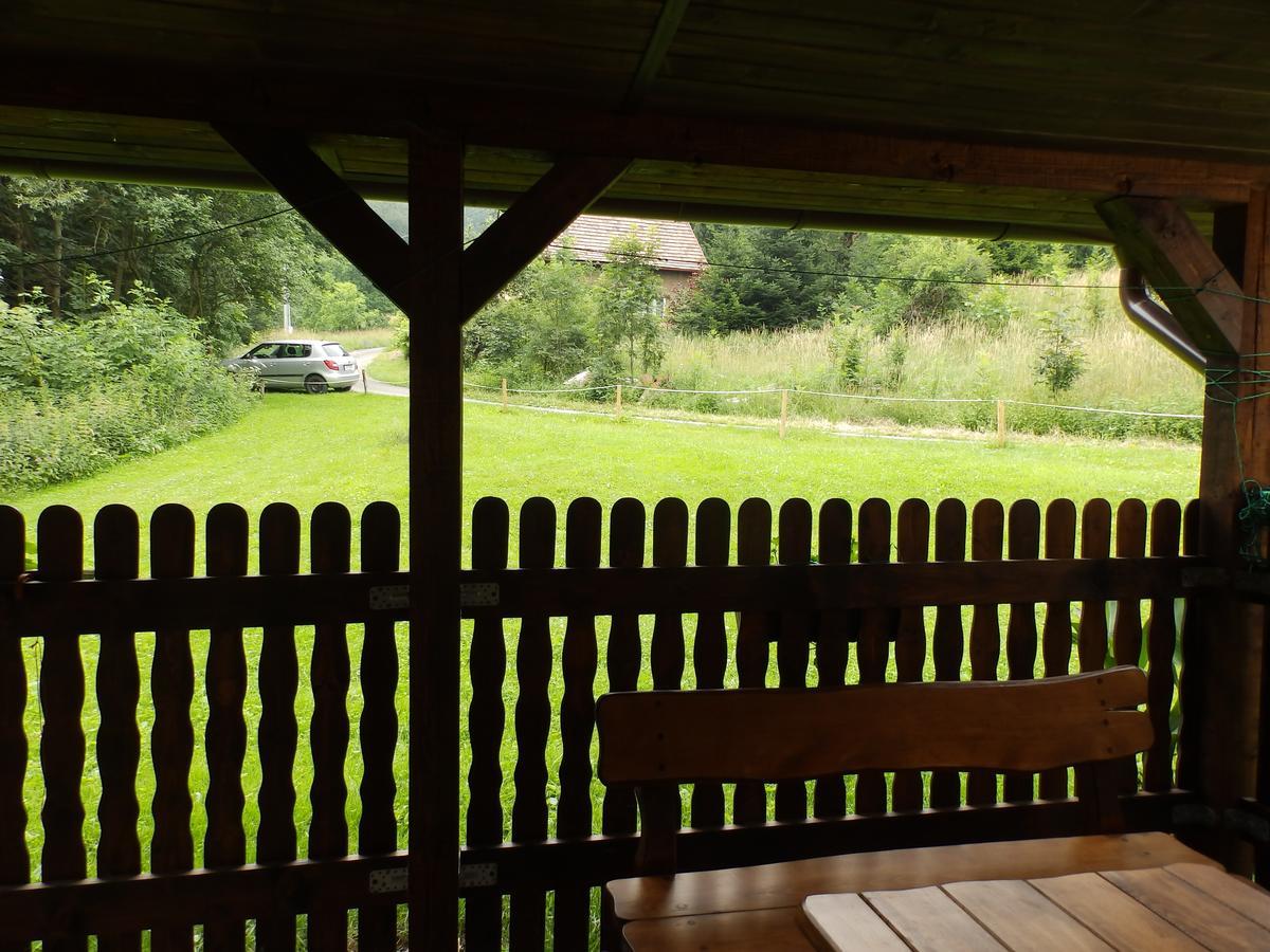 Country House Zdenko s wellness Frenštát pod Radhoštěm Buitenkant foto